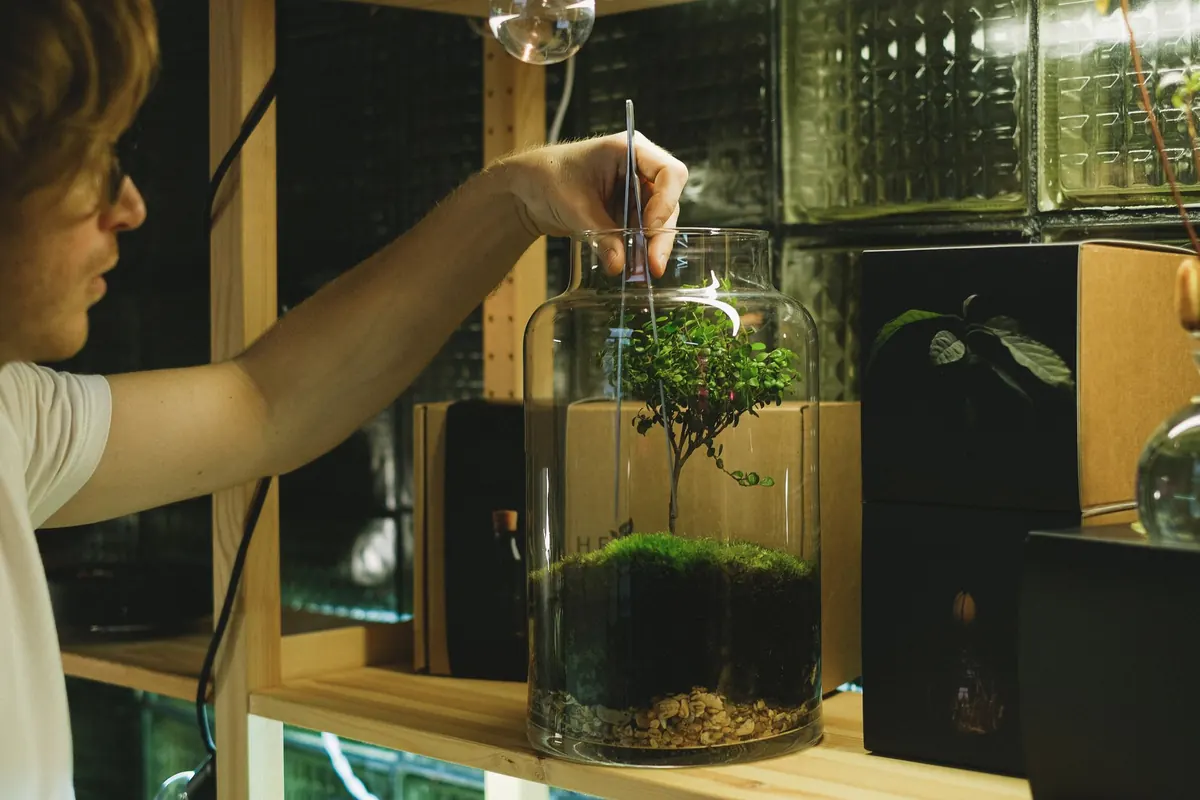 How to Build a Beginner-Friendly Moss Terrarium in a Glass Jar