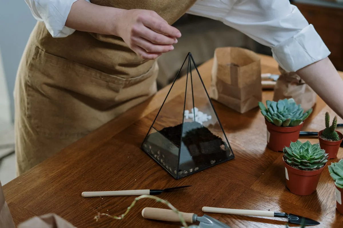 Moss Terrarium Checklist: 10 Essentials Before You Plant